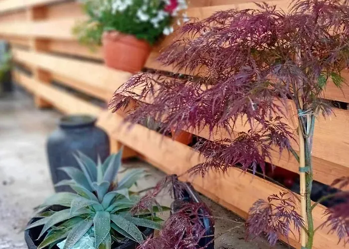 Apartman 22 Srbská Kamenice